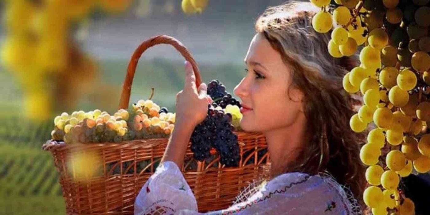 Донская лоза